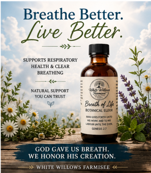 Breath of Life